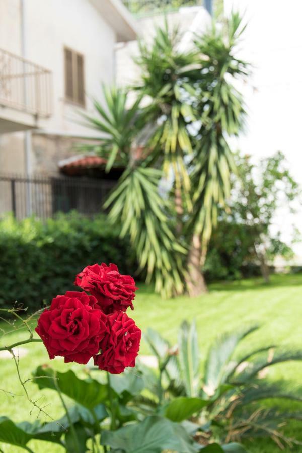 L'Oasi Di Giorgia Bed & Breakfast ชิตตาเดลลา เดล กาโป ภายนอก รูปภาพ