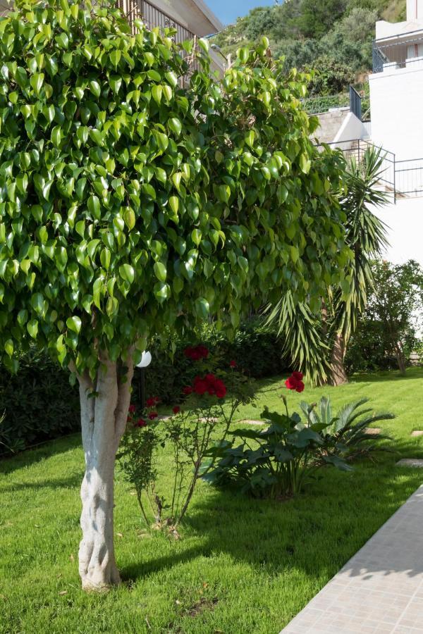 L'Oasi Di Giorgia Bed & Breakfast ชิตตาเดลลา เดล กาโป ภายนอก รูปภาพ